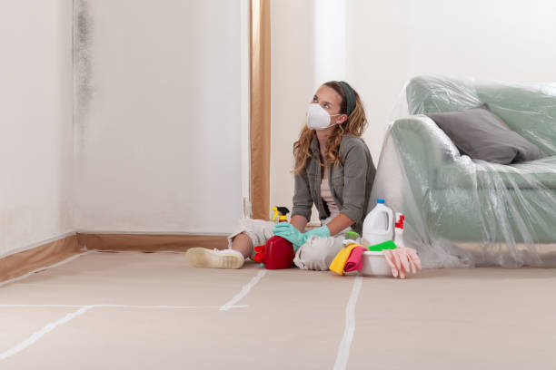 Reliable Mold Remediation contractor in Midland, MI by Mold Remediation HQ